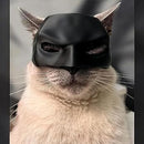 Cat Batman Mask