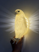 Eagle Night Lamp – 3D LED Light for Bedroom & Home Decor in Pakistan